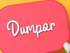 Dumpor – Anonymous Instagram Story Viewer