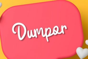 Dumpor – Anonymous Instagram Story Viewer