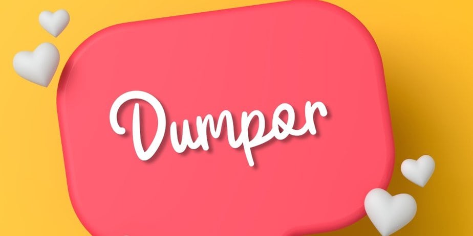 Dumpor – Anonymous Instagram Story Viewer