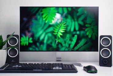 6 Best 4K IPS Mon­i­tors for Pho­to Editing in 2022