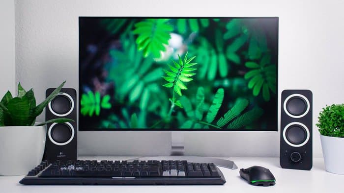 6 Best 4K IPS Mon­i­tors for Pho­to Editing in 2022
