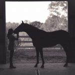 How Cannabidiol Helps Horses – Endocannabinoid System In Your Equine